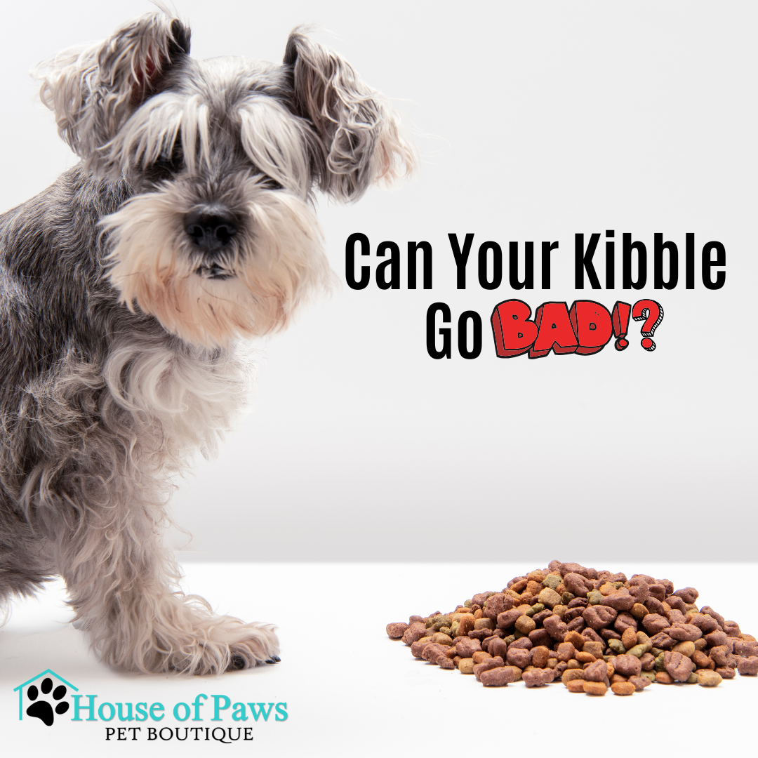 Can Your Kibble Go Bad? – House of Paws Pet Boutique