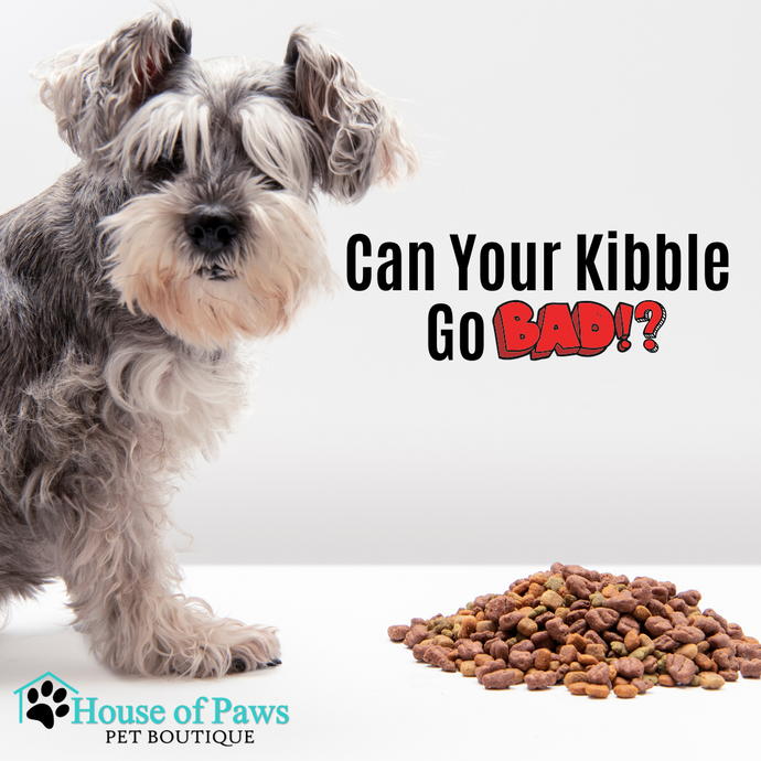 Can Your Kibble Go Bad?