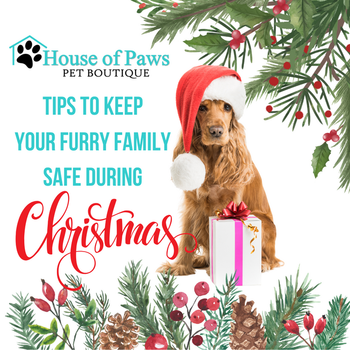 Keep Your Furry Family Safe During the Pawlidays