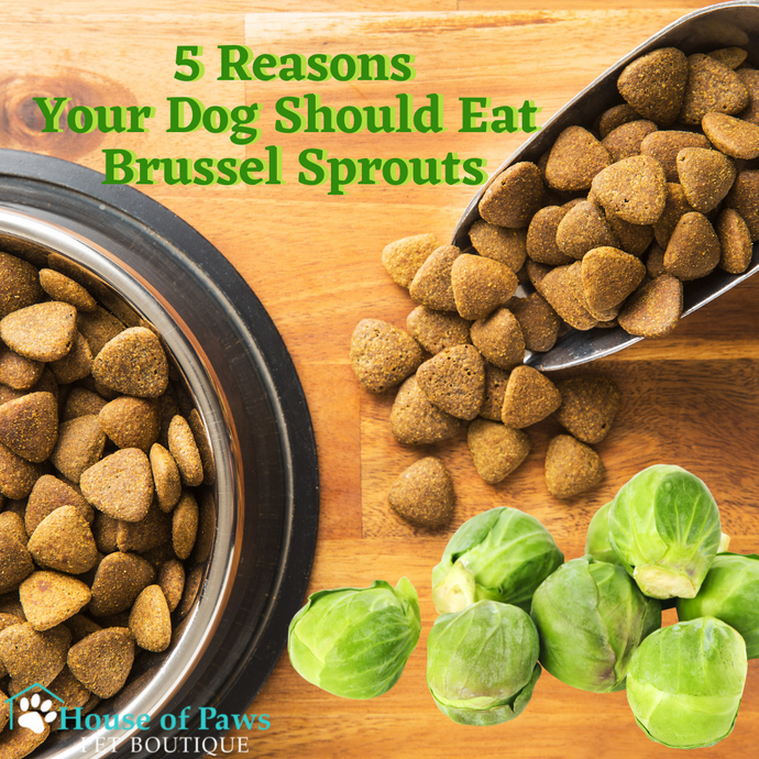 Brussel Spouts for Dogs
