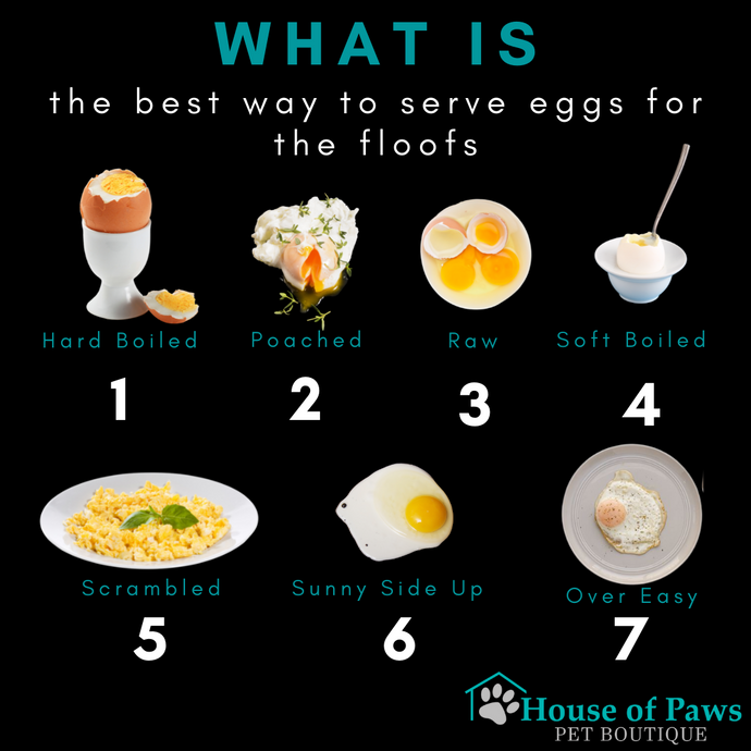 Eggs! The Superfood for Dogs & Cats