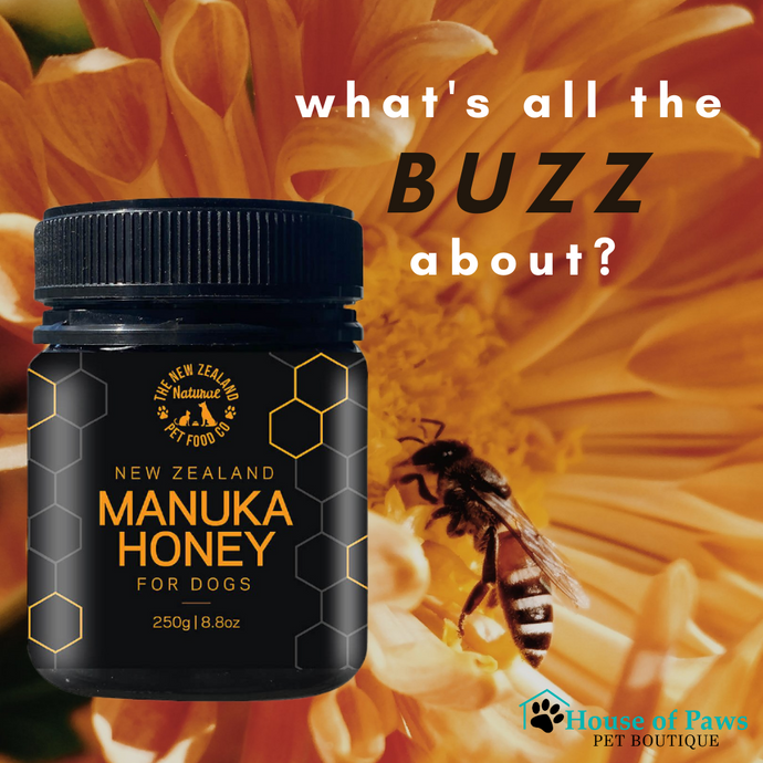 Why Manuka Honey Should Be In Your Cupboard!