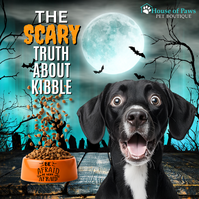 The Scary Truth About Kibble