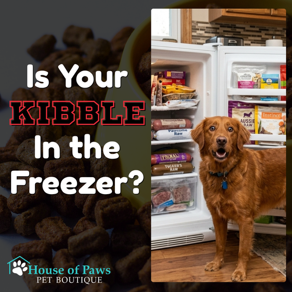 how to store kibble