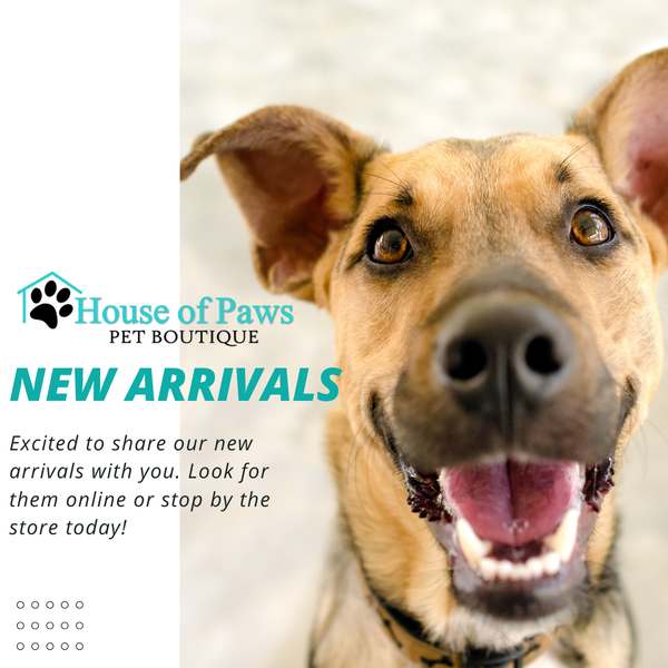 New Arrivals at House of Paws