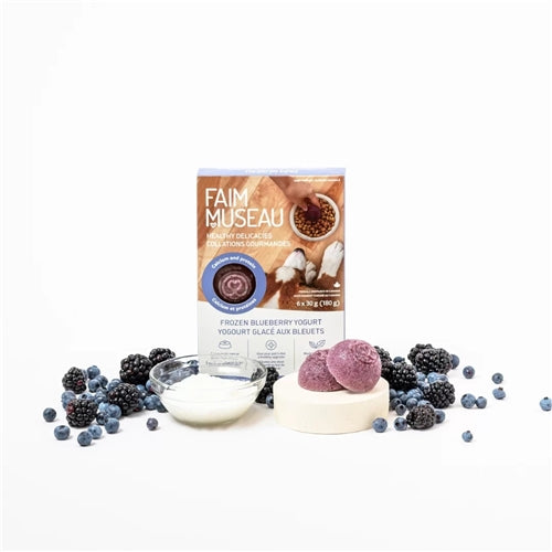 Faim Museau Frozen Blueberry Yogurt