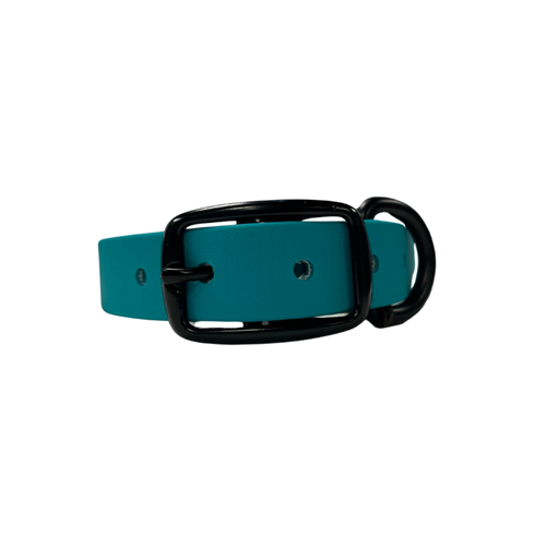 Moss Dog Standard Collar - Teal