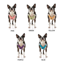 Load image into Gallery viewer, Gooby Memory Foam Step-in Small Dog Harness