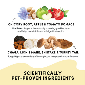 immunity dog treat