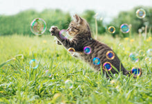 Load image into Gallery viewer, Meaty Bubbles - Smokey Bacon Bubbles