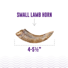 Load image into Gallery viewer, Icelandic+ Lamb Horn w/Marrow SM
