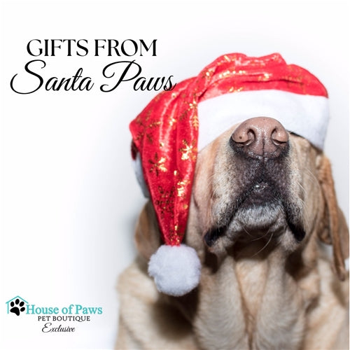 Gifts From Santa Paws