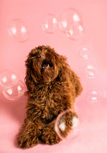 Load image into Gallery viewer, Meaty Bubbles - Smokey Bacon Bubbles