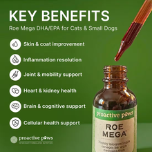 Load image into Gallery viewer, Promotional graphic for Proactive Paws Roe Mega DHA/EPA supplement for cats and small dogs, showing a brown dropper above an amber bottle on a green background with a list of key benefits.