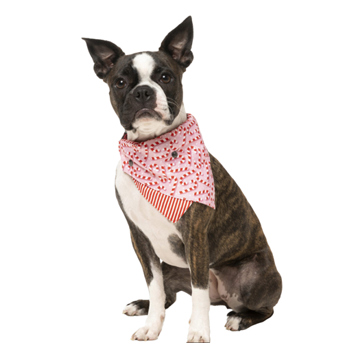 Paws Deals - FuzzYard Candy Cane Bandana Pink – House of Paws Pet Boutique
