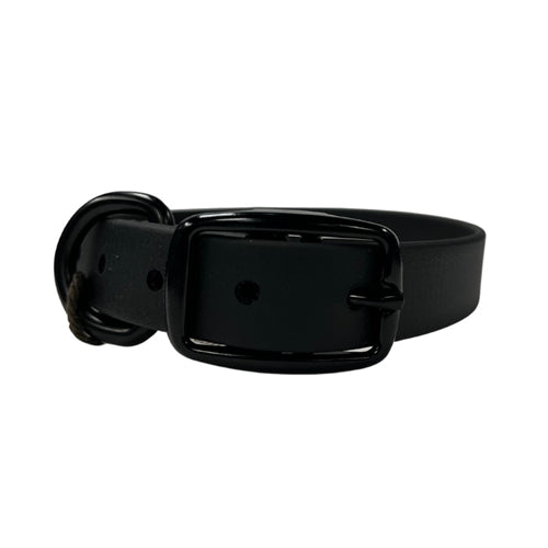 Moss Dog Standard Collar - Coal