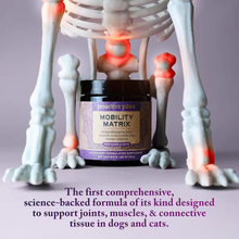 Load image into Gallery viewer, A jar of proactive paws Mobility Matrix veterinary supplement is displayed in front of a white skeleton model with highlighted joints, on a lavender background with promotional text at the bottom.