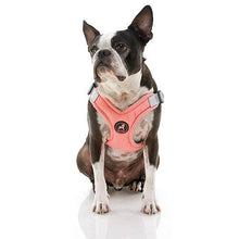 Load image into Gallery viewer, Gooby Memory Foam Step-in Small Dog Harness