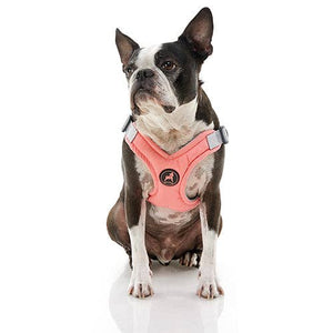 Gooby Memory Foam Step-in Small Dog Harness