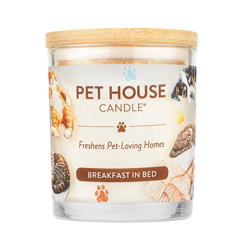 Pet House Breakfast In Bed Pet Safe Candle