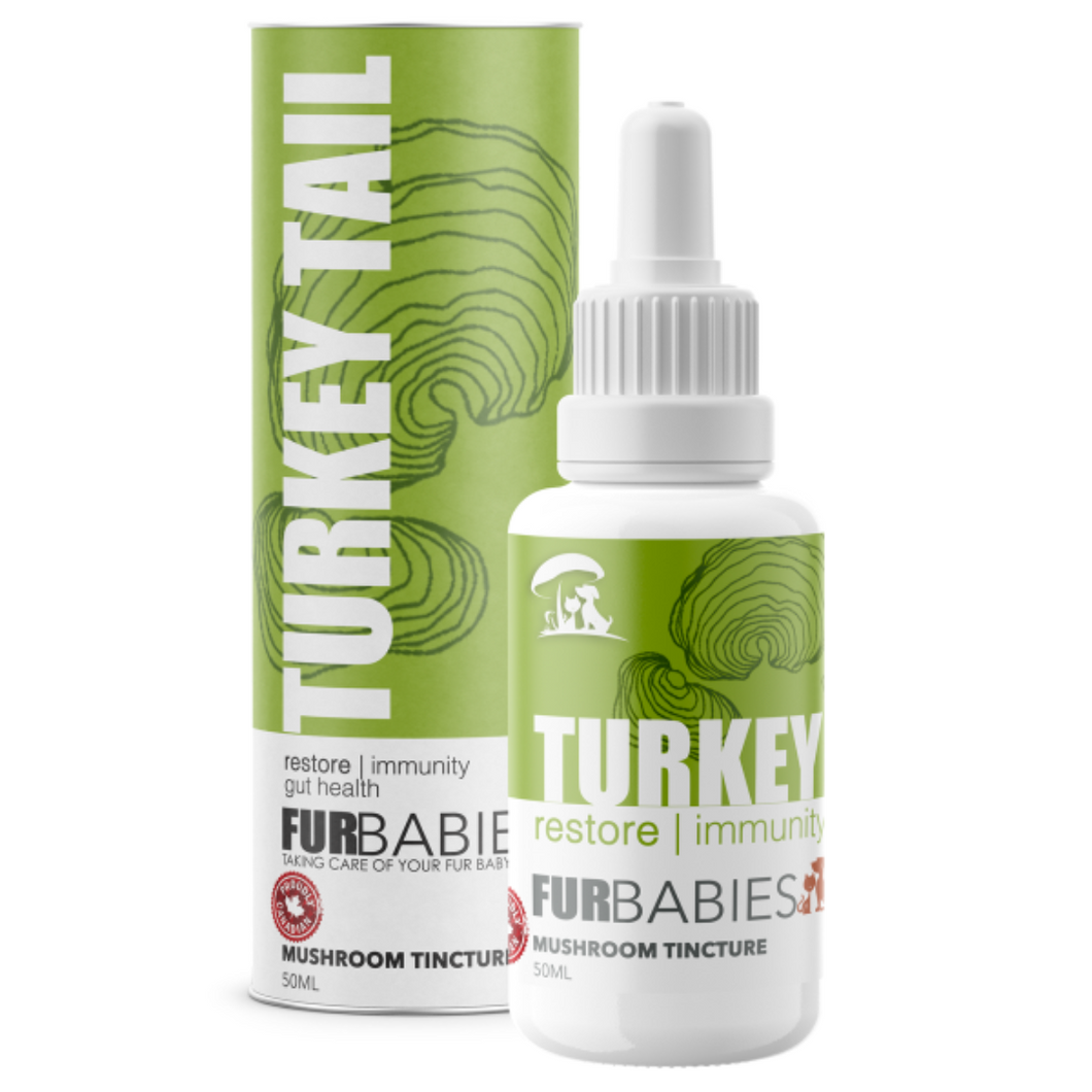 Furbabies Mushrooms - Turkey Tail