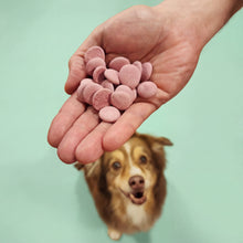 Load image into Gallery viewer, Hand holding Wiggle Whip Ice Cream for dogs treats with a dog looking up at them on a light green background