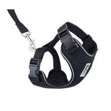 Load image into Gallery viewer, RC Pets Adventure Kitty Harness Black