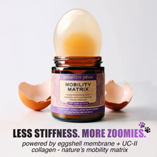 Load image into Gallery viewer, Bottle of Proactive Paws Mobility Matrix supplement with an egg on top, on a light background.