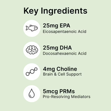 Load image into Gallery viewer, Proactive Paws by Dr. Karen Becker Roe Mega. A pale green informational graphic titled 'Key Ingredients' listing supplement components: 25mg EPA, 25mg DHA, 4mg Choline, and 5mcg PRMs with simple line icons.