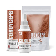 Furbabies Mushrooms - Cordyceps
