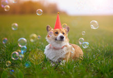Load image into Gallery viewer, Meaty Bubbles - Smokey Bacon Bubbles