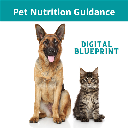 Downloadable Pet Nutrition Blueprint