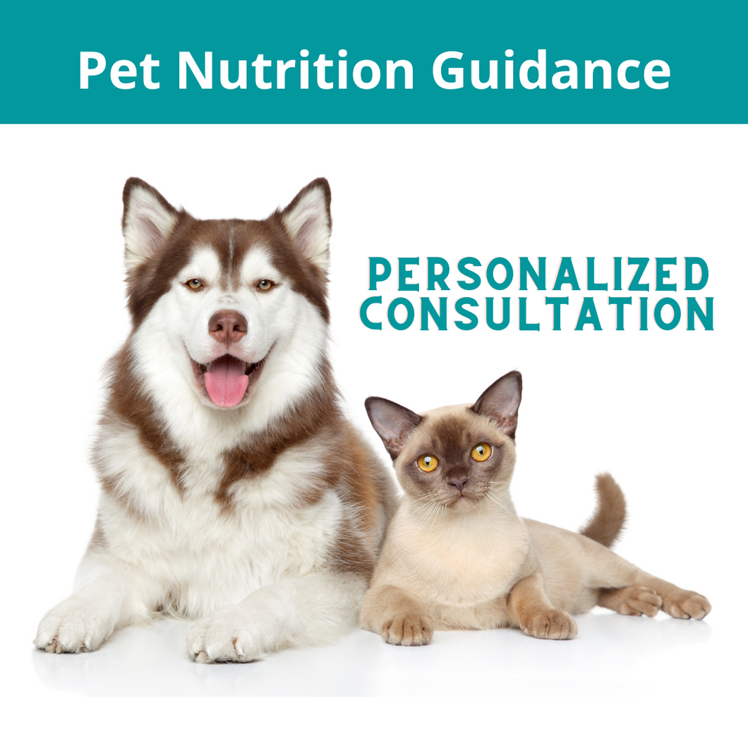 Personalized Pet Nutrition Consultation