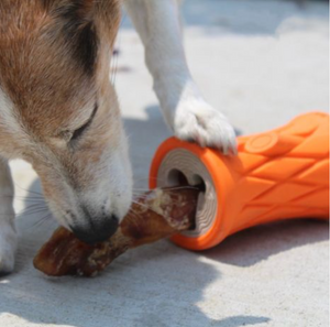 Tall Tails - Natural Rubber Trunk Toy