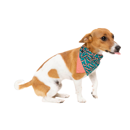 FuzzYard Candy Cane Bandana Green