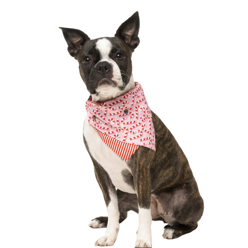 FuzzYard Candy Cane Bandana Pink