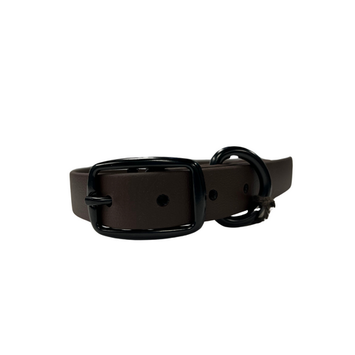 Moss Dog Standard Collar - Espresso