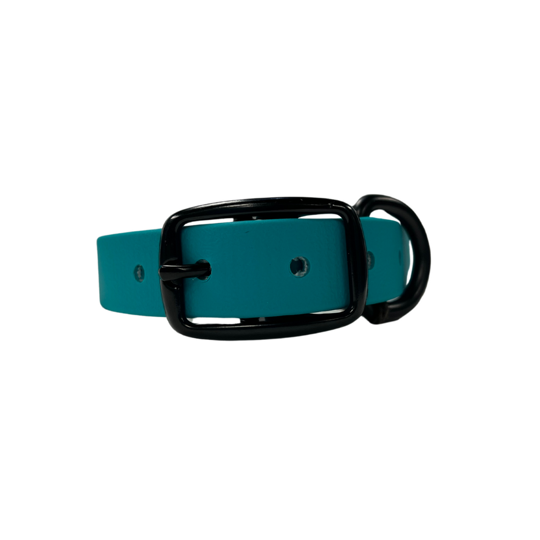 Moss Dog Standard Collar - Teal
