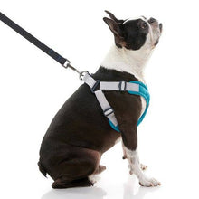 Load image into Gallery viewer, Gooby Memory Foam Step-in Small Dog Harness