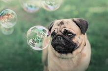 Load image into Gallery viewer, Meaty Bubbles - Smokey Bacon Bubbles