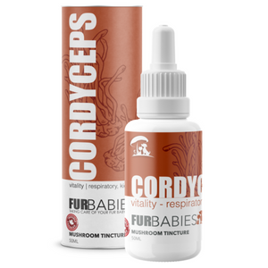 Furbabies Mushrooms - Cordyceps