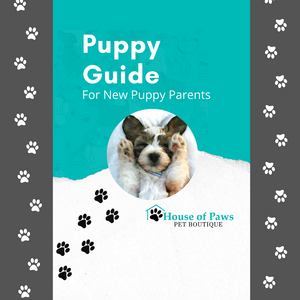 Puppy Guide