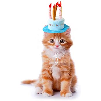 Kitty Birthday Box