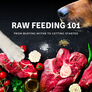 Raw Feeding 101