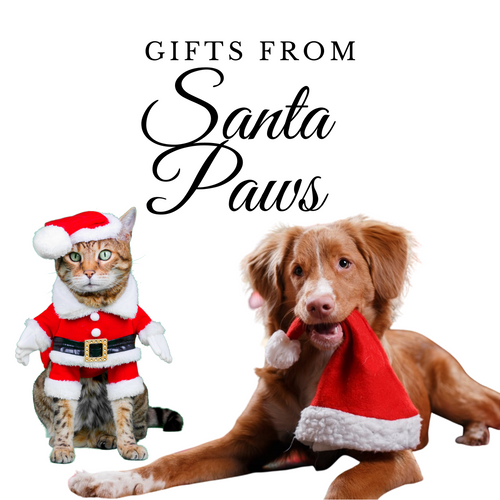 Santa Paws: Best Christmas Gifts for Dogs