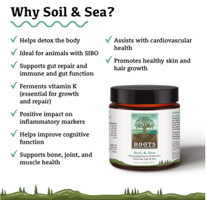 Soil & Sea | Primordial Pre & Probiotics 40g
