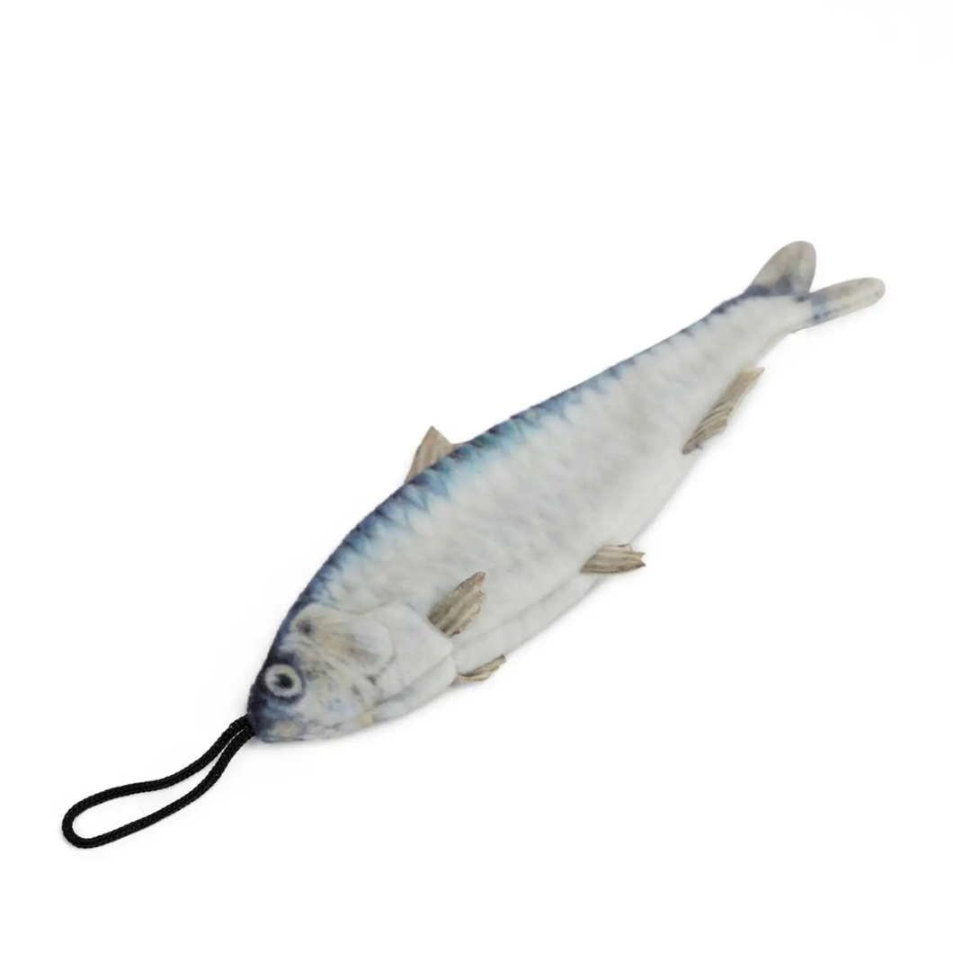 Steel Dog - Cat Toy - Sardine