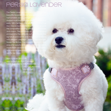 Load image into Gallery viewer, Pretty Paw Harness - Persia Lavender