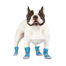 Load image into Gallery viewer, Canada Pooch Hot Pavement Boots Blue