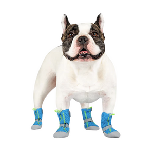 Canada Pooch Hot Pavement Boots Blue